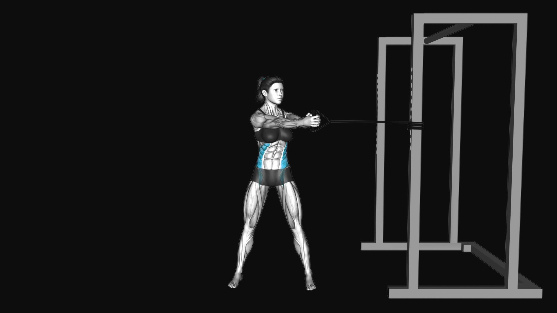 Band Standing Torso Rotation