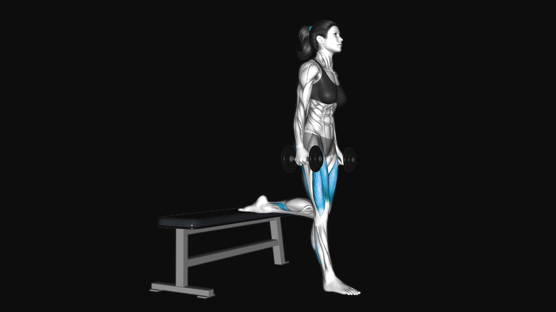 Dumbbell Single Leg Split Squat