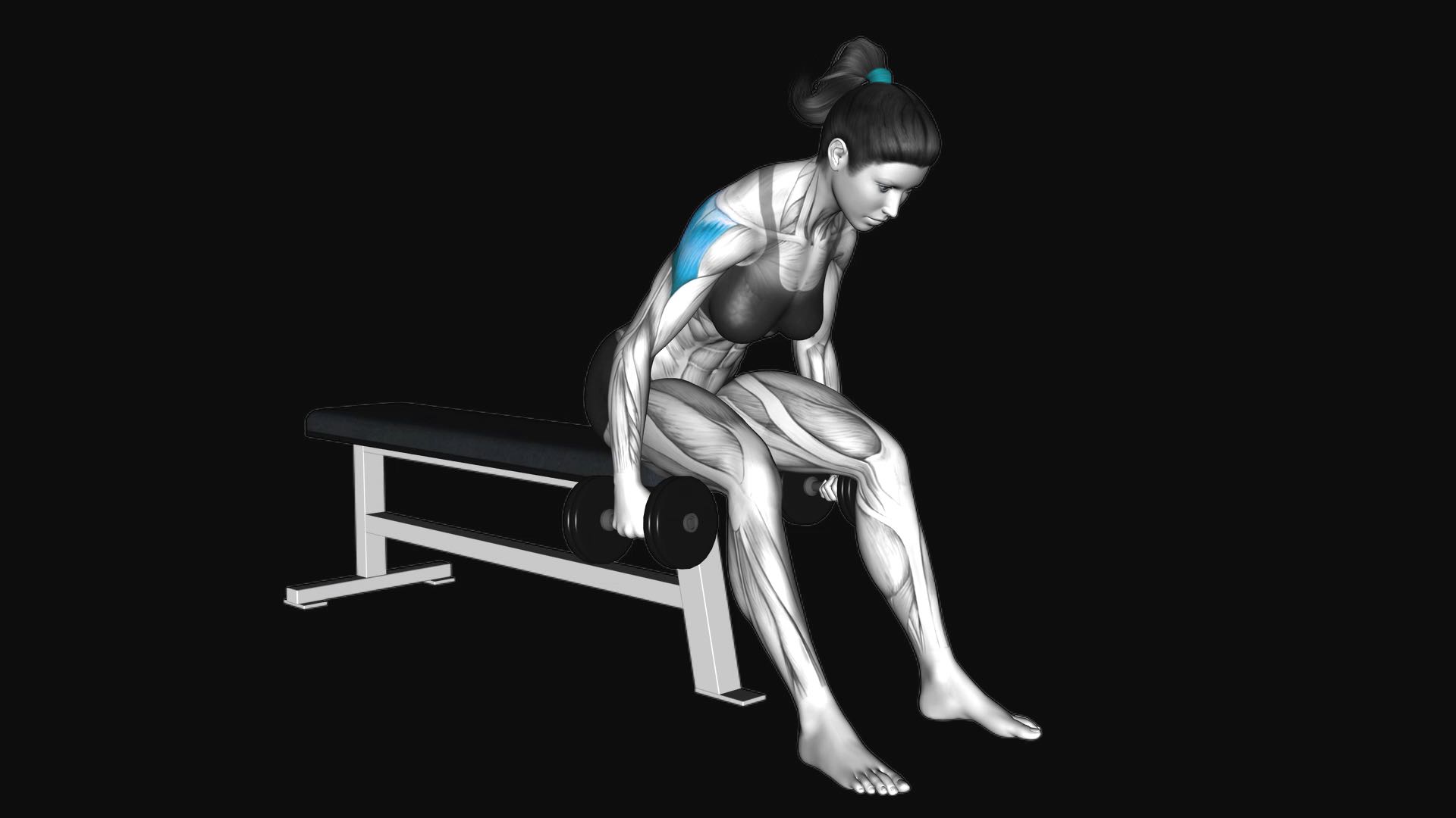 Dumbbell Rear Fly