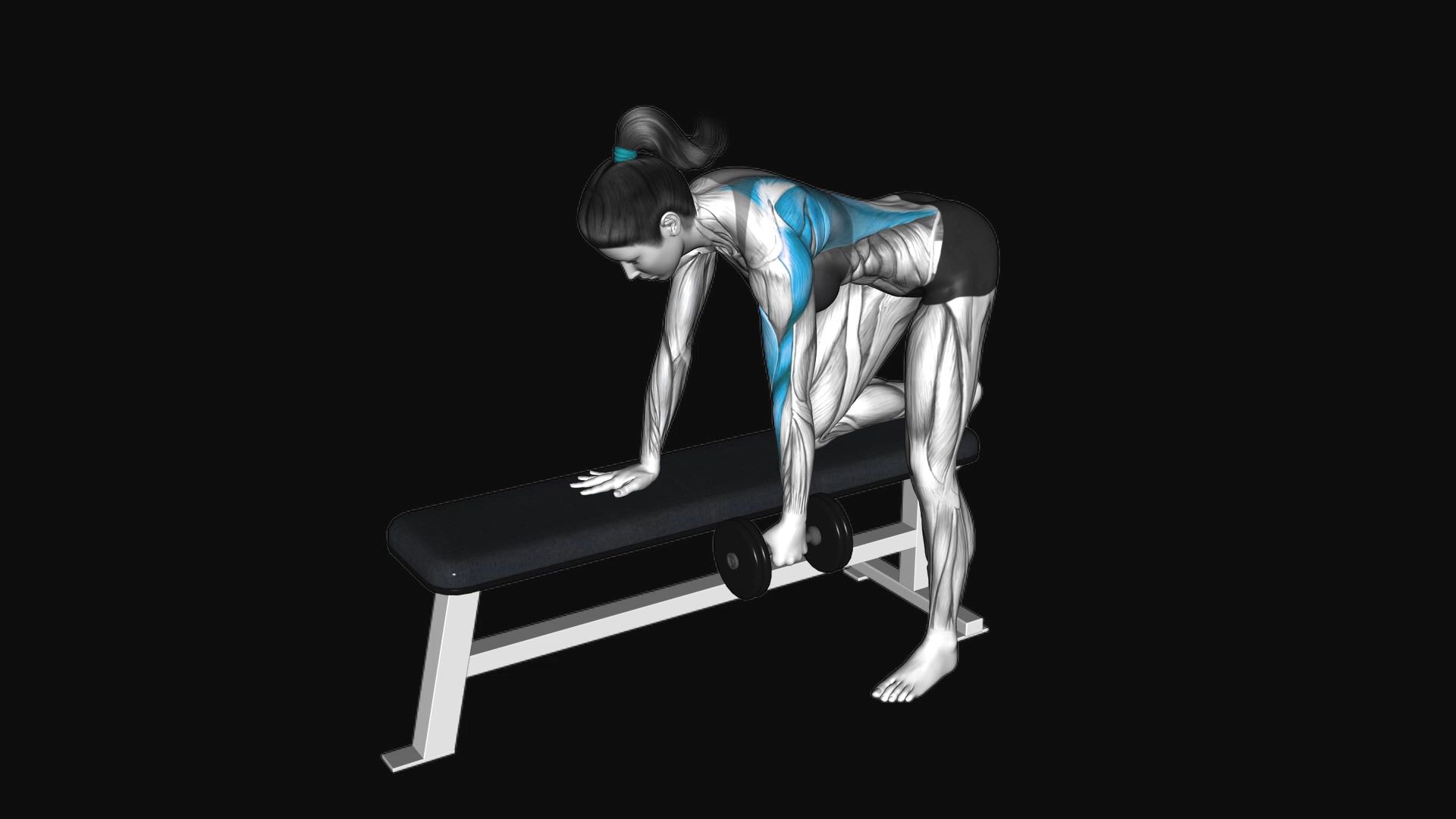 Dumbbell One Arm Bent over Row