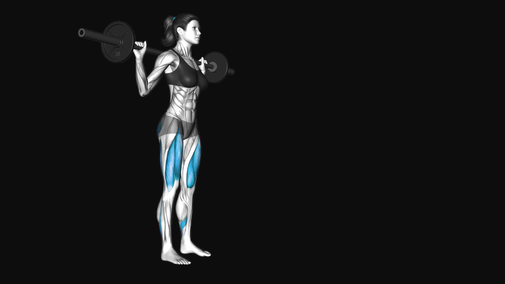 Barbell Lunge