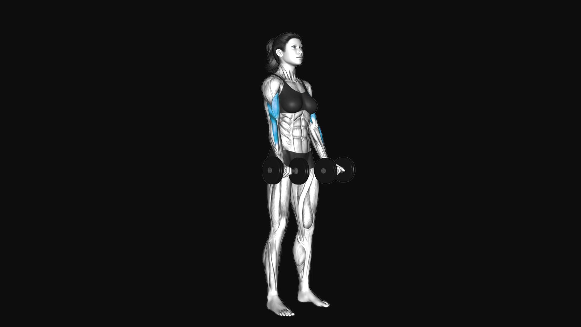Dumbbell Standing Biceps Curl