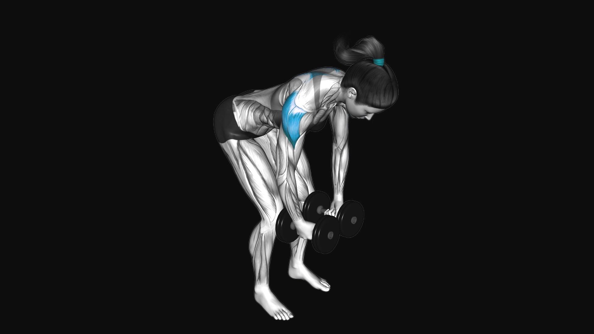 Dumbbell Rear Delt Fly