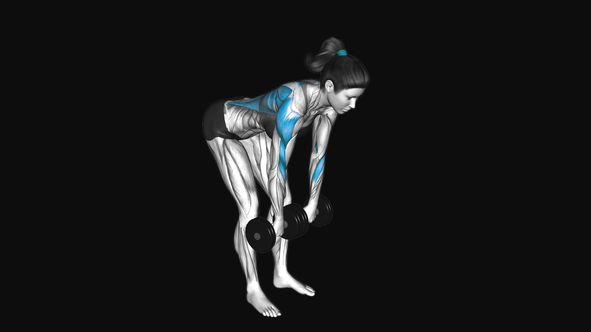 Dumbbell Palm Rotational Bent Over Row
