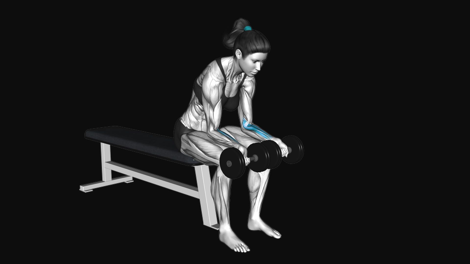 Dumbbell Seated Palms Up Wrist Curl
