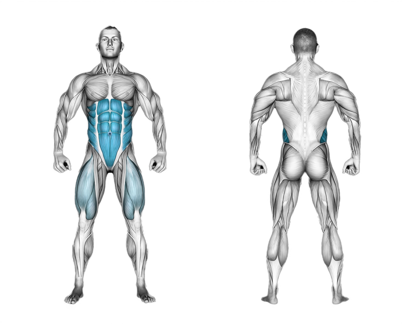 Captains Chair Straight Leg Raise: abs
