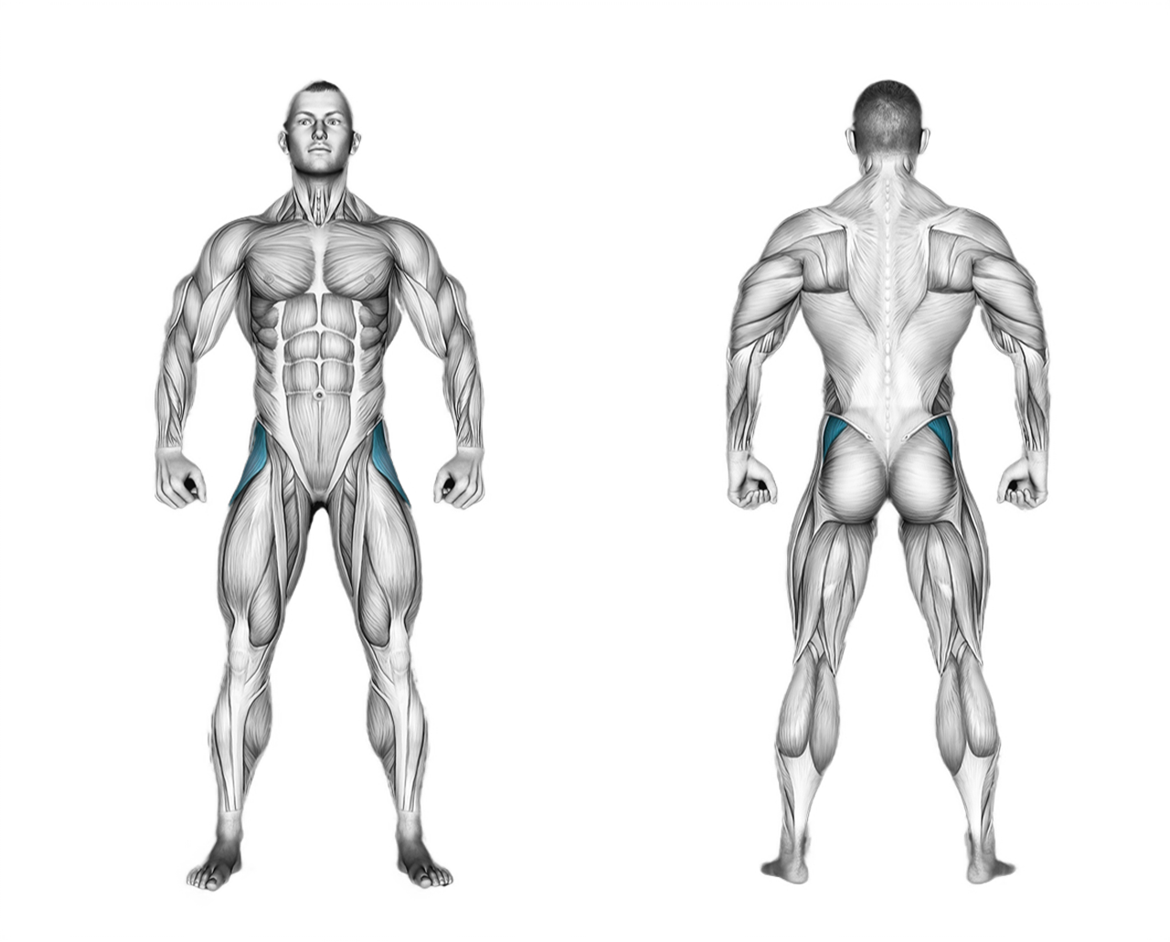 Cable Hip Abduction: legs, glutes