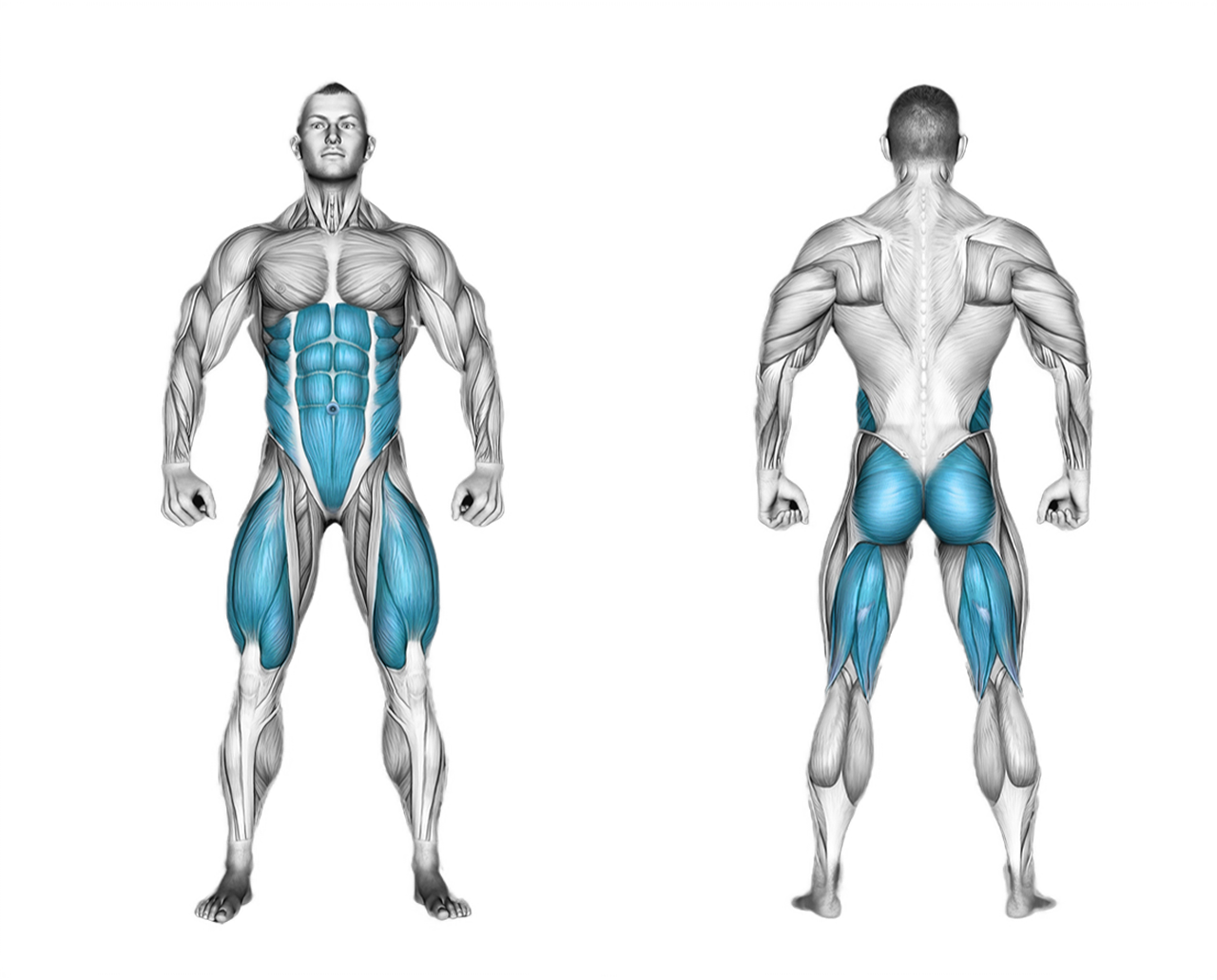 Barbell One Leg Squat: legs