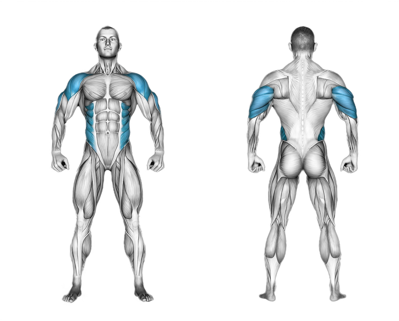 Landmine Single-Arm Press: shoulders
