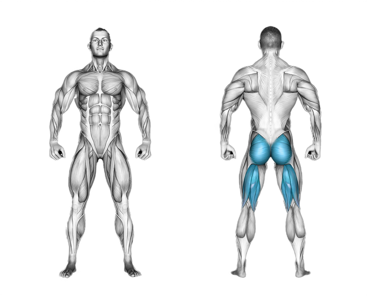 Hyperextension: back, glutes