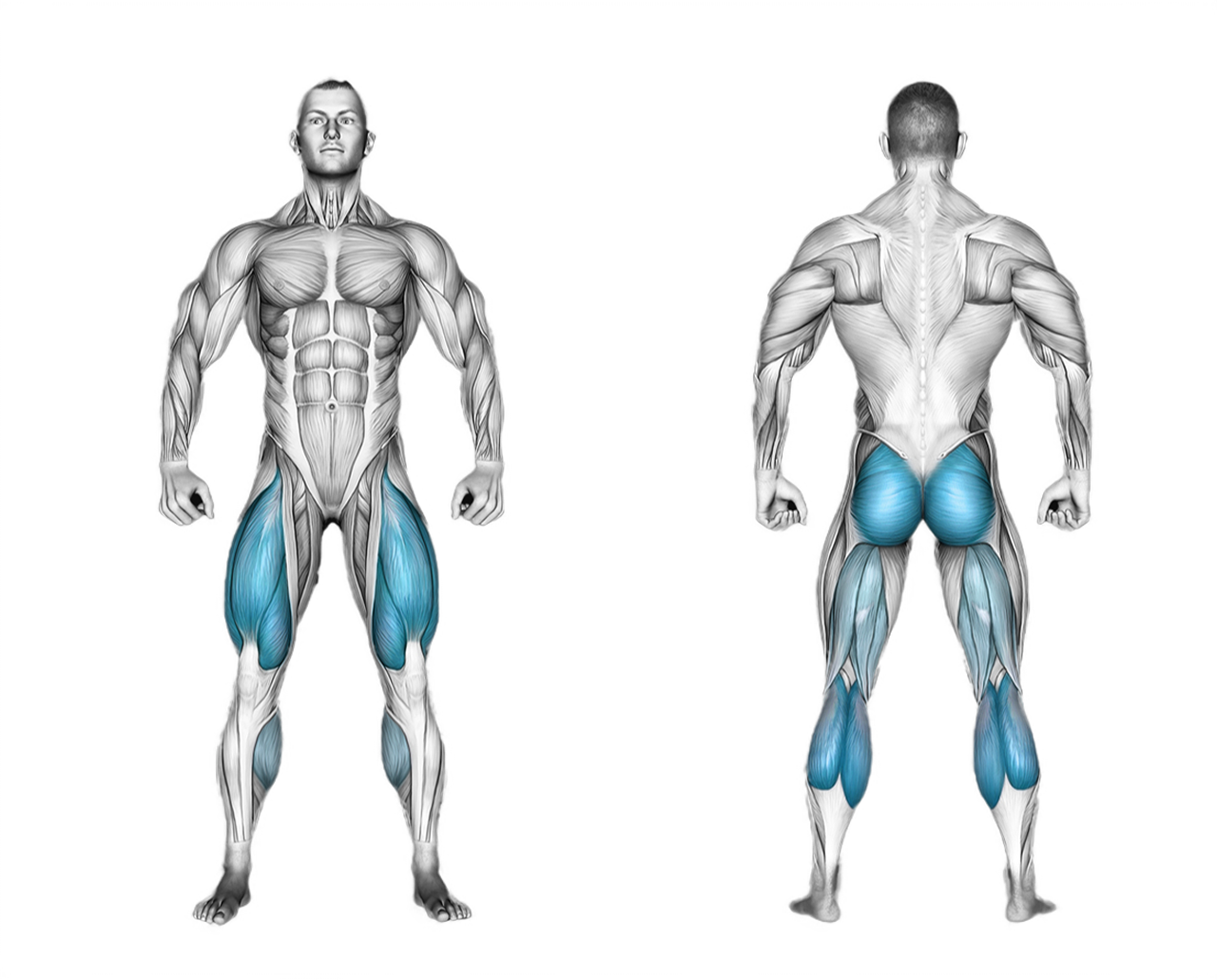 Barbell Walking Lunge: legs