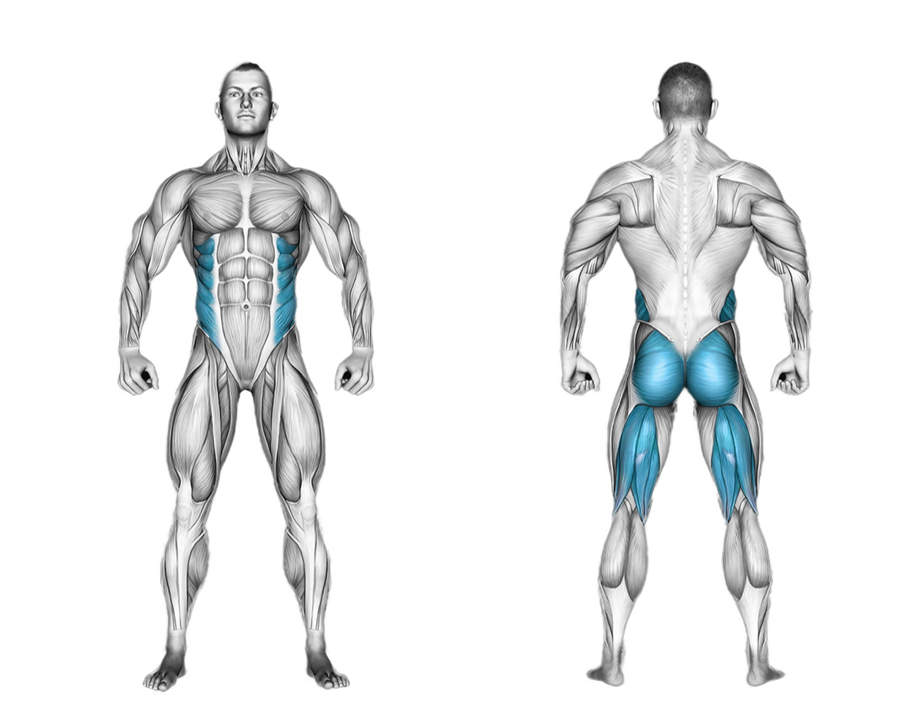 Cable Hip Extension: glutes