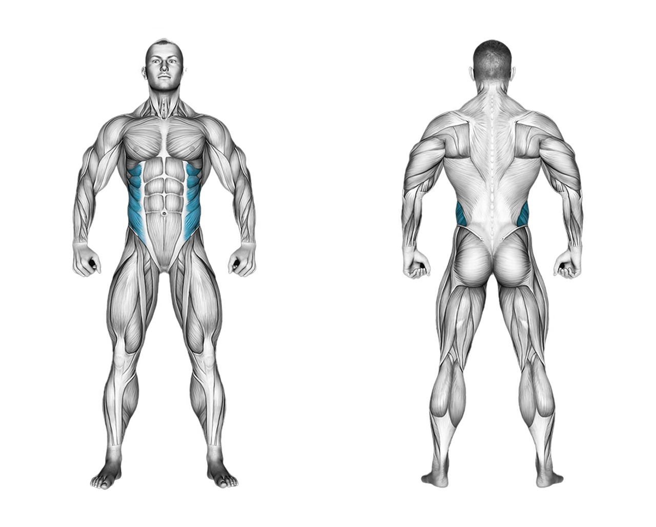 45-Degree Side Bend: abs