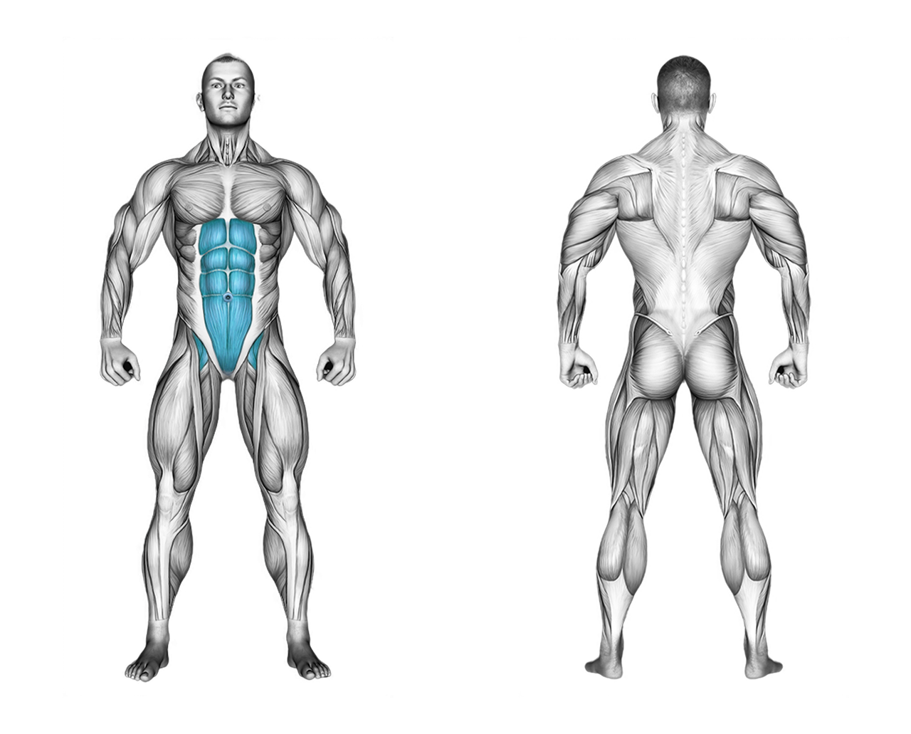 Hanging Straight Leg Raise: abs