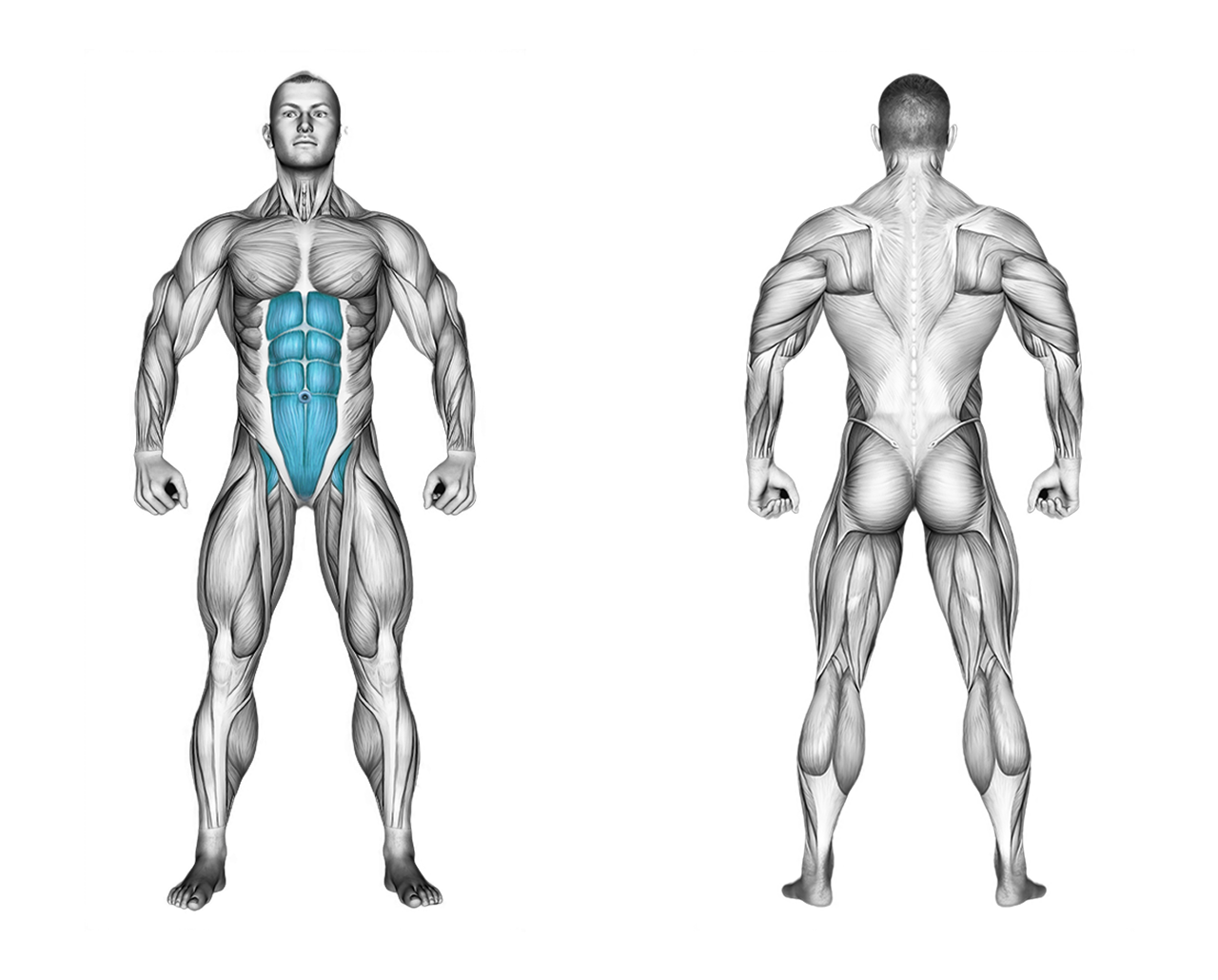 Incline Straight Leg Raise: abs, glutes