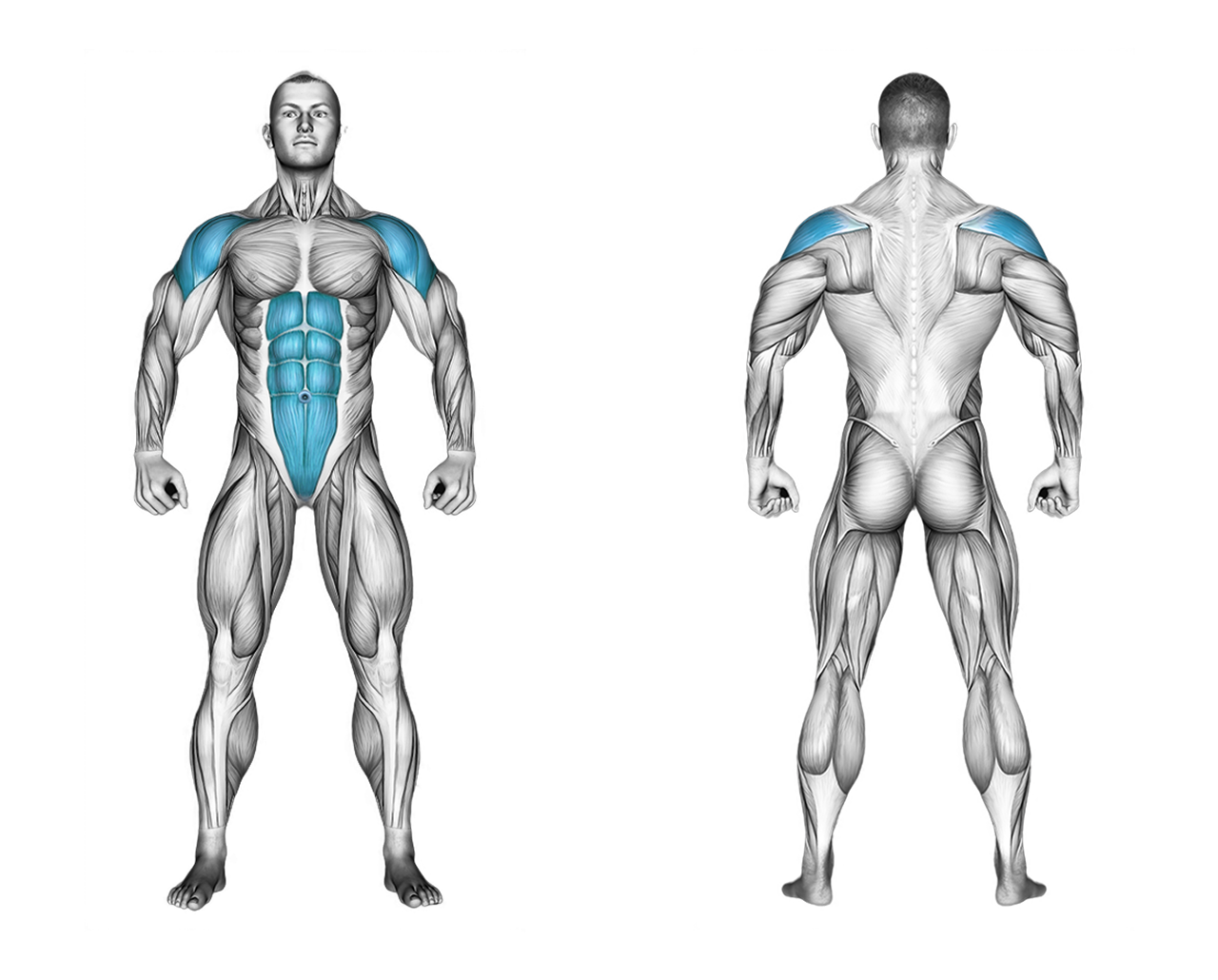 Pike Plank: abs, shoulders