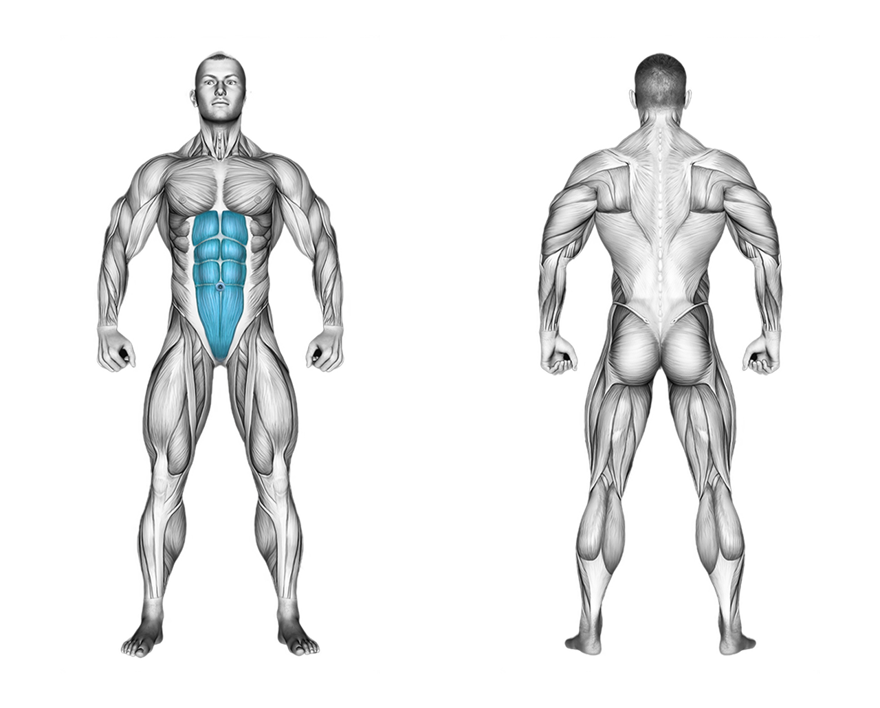 Cable Standing Crunch with Rope: abs