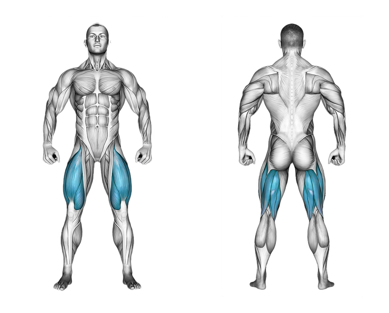 Treadmill Walking: legs, glutes