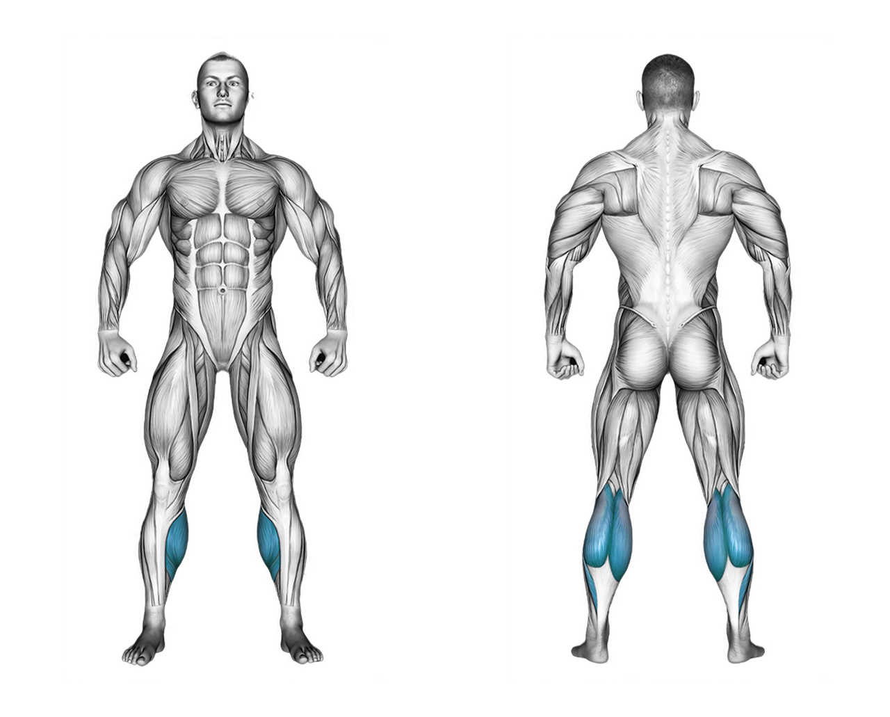 Single Leg Dumbbell Calf Raise: calves