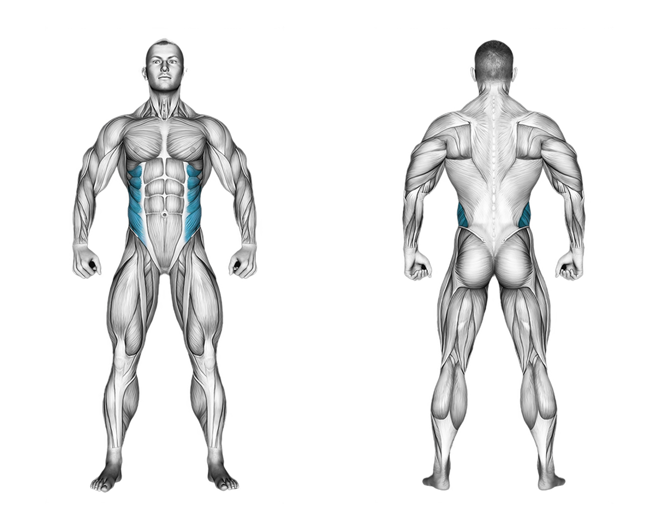 Dumbbell Russian Twist: abs