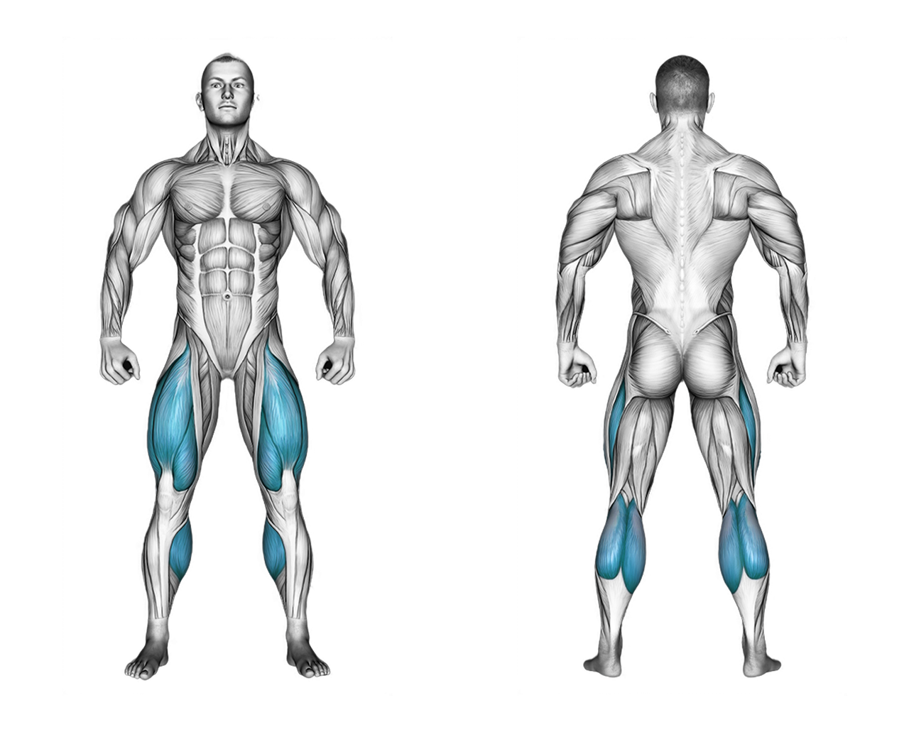 Jump Rope: legs, calves