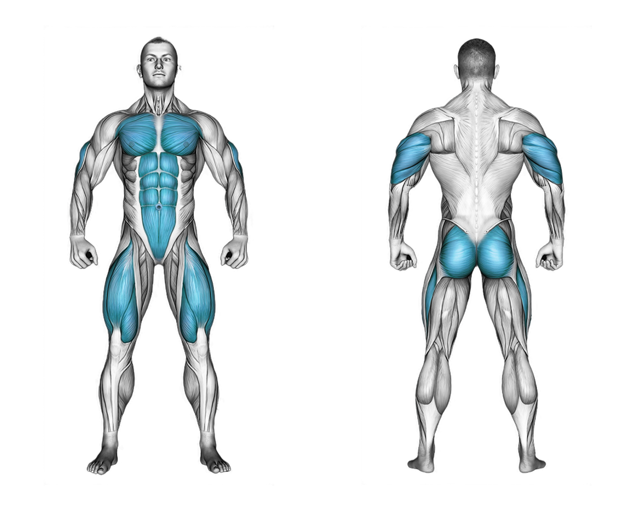 Burpee with Jumping Jacks: legs, chest, shoulders, abs