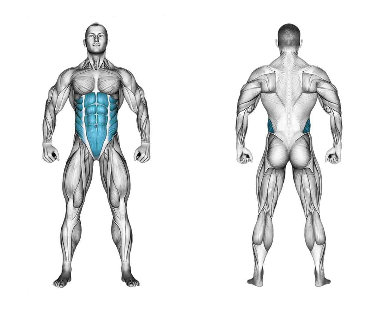 Decline Cross Body Sit-up: abs