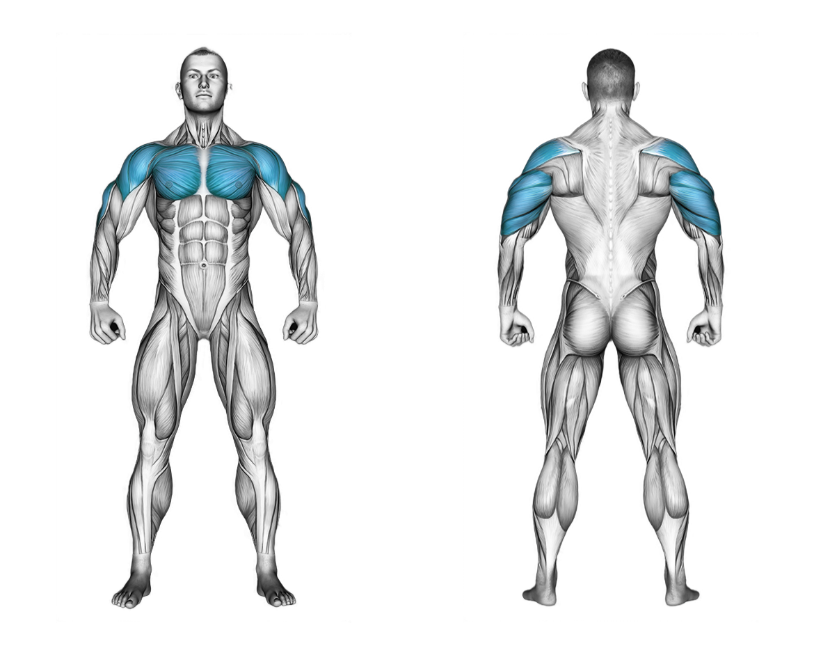 Cable Incline Bench Press: chest