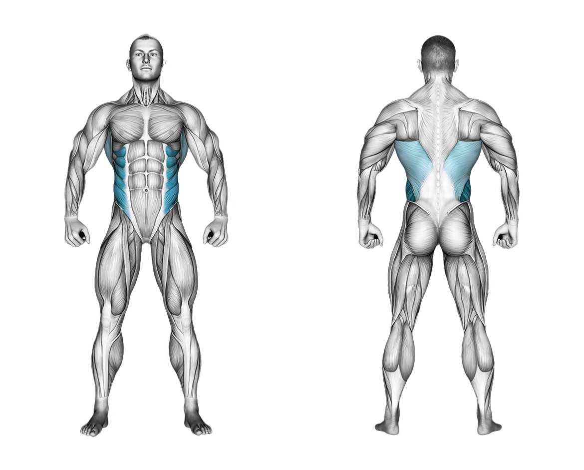 Cable Twisting Pull: back, abs