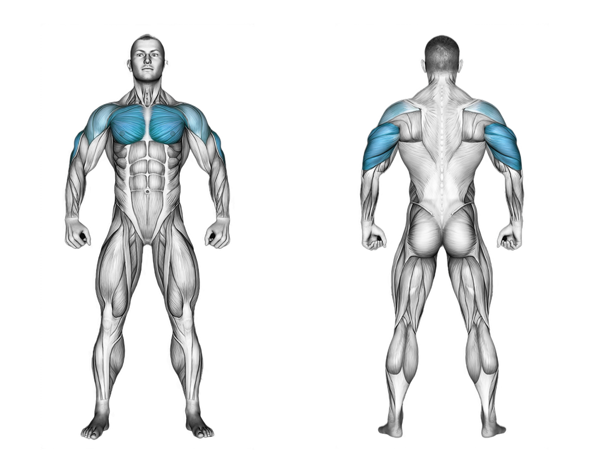 Close Grip Push-up: chest, triceps