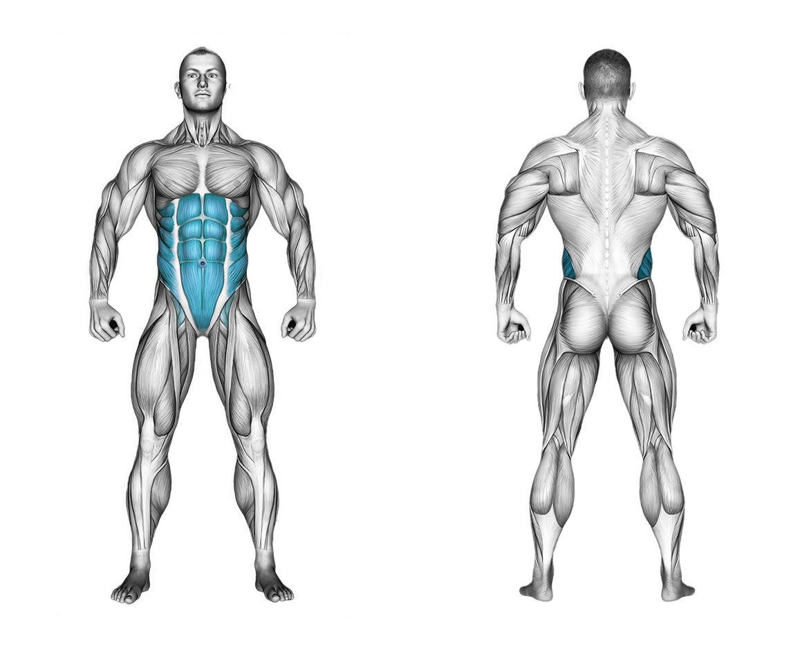 Cocoons: abs