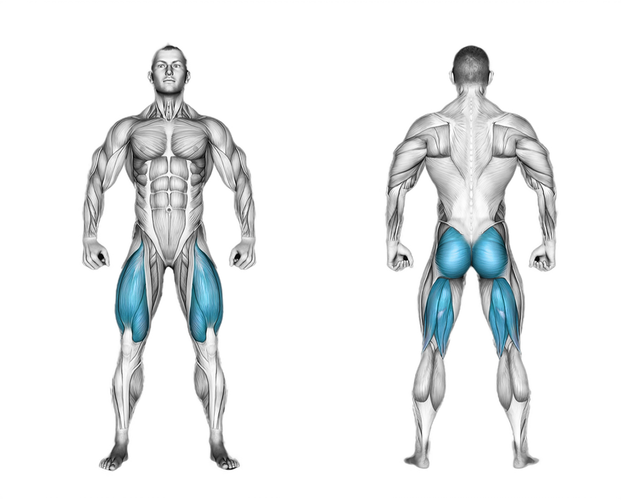 Barbell Single Leg Split Squat: legs
