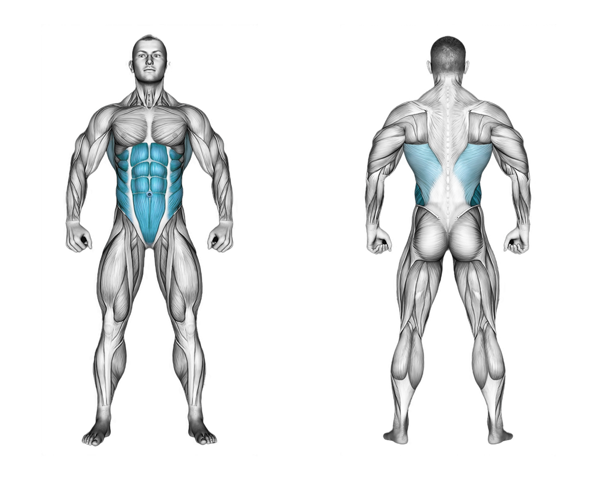 Standing Wheel Rollout: abs