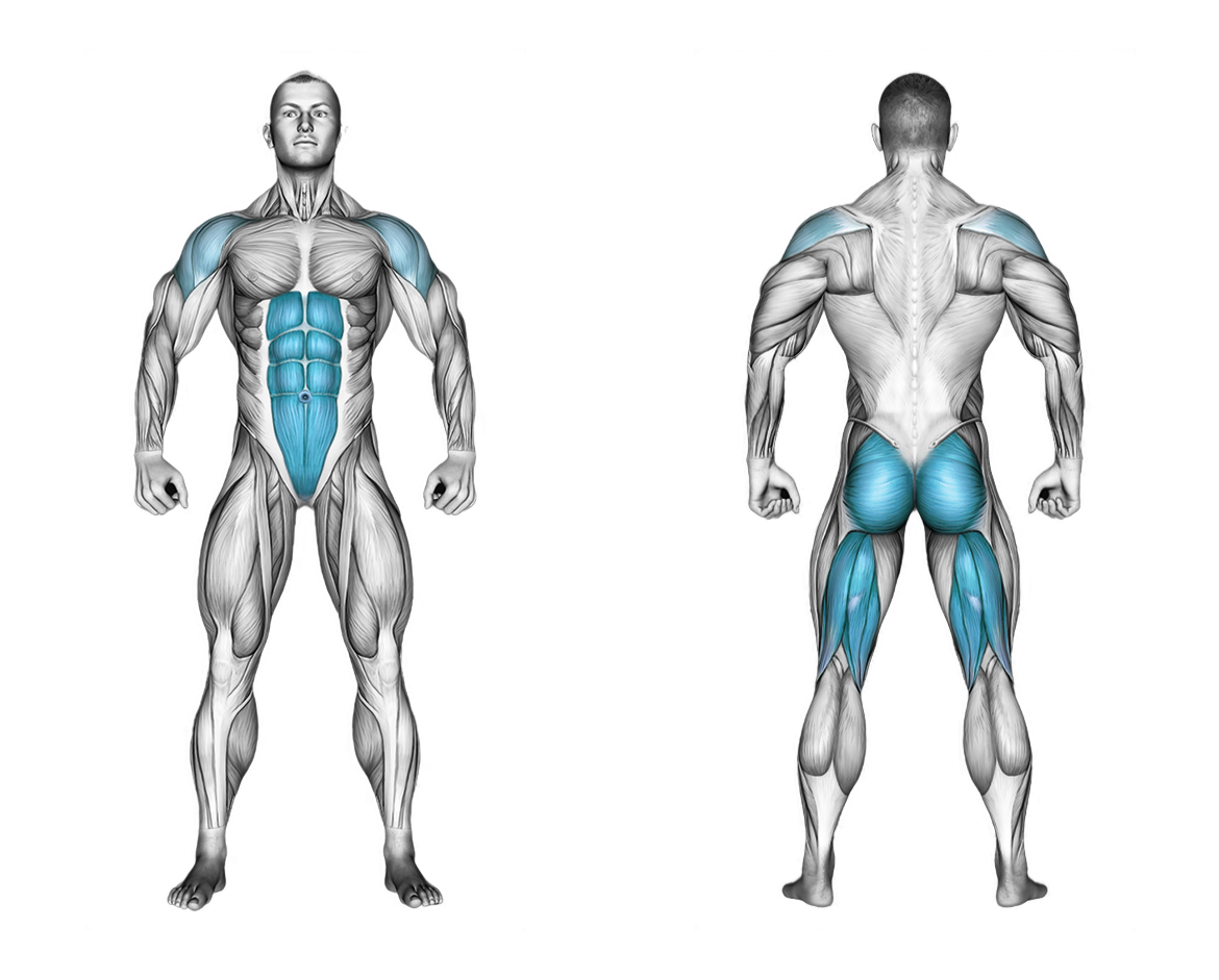 Reverse plank: abs, back