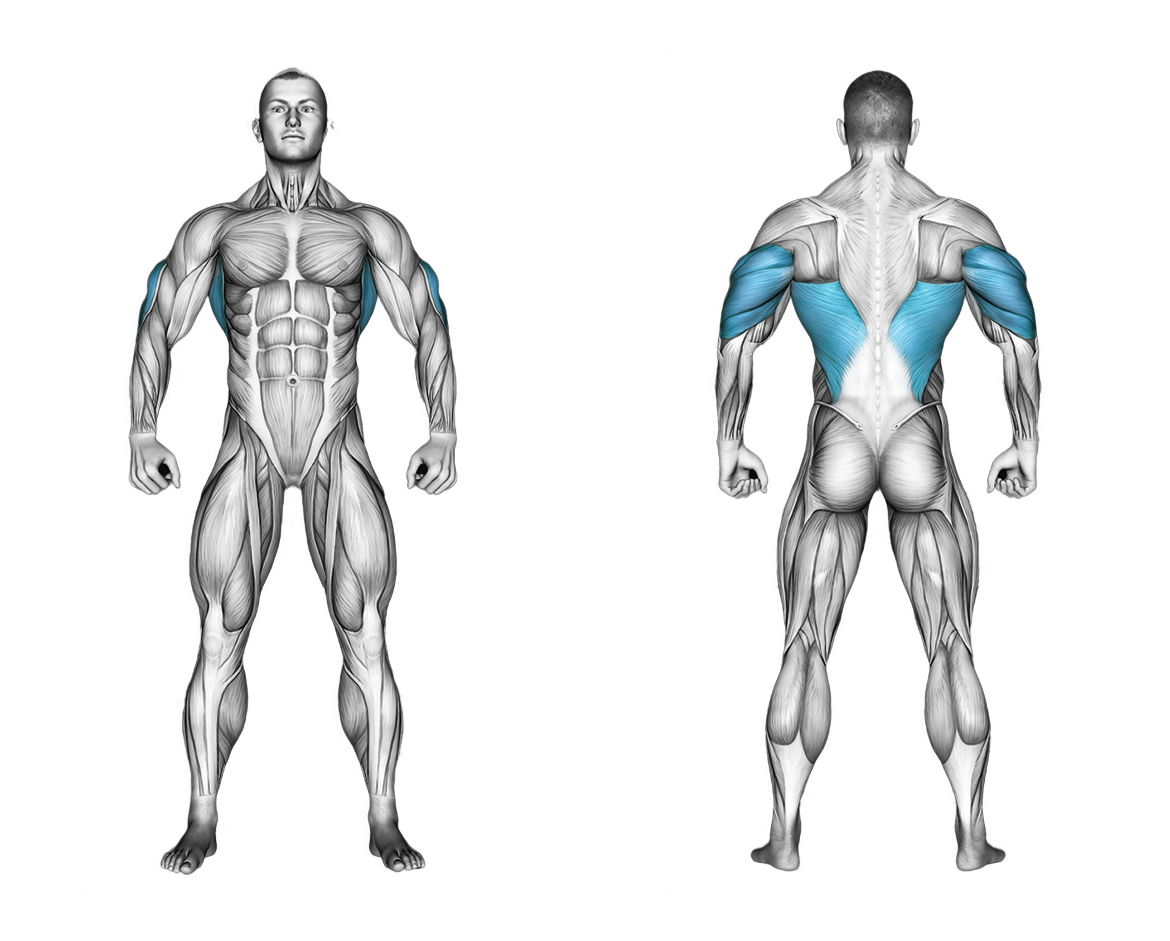 Cable Standing Lat Pushdown (rope equipment): back