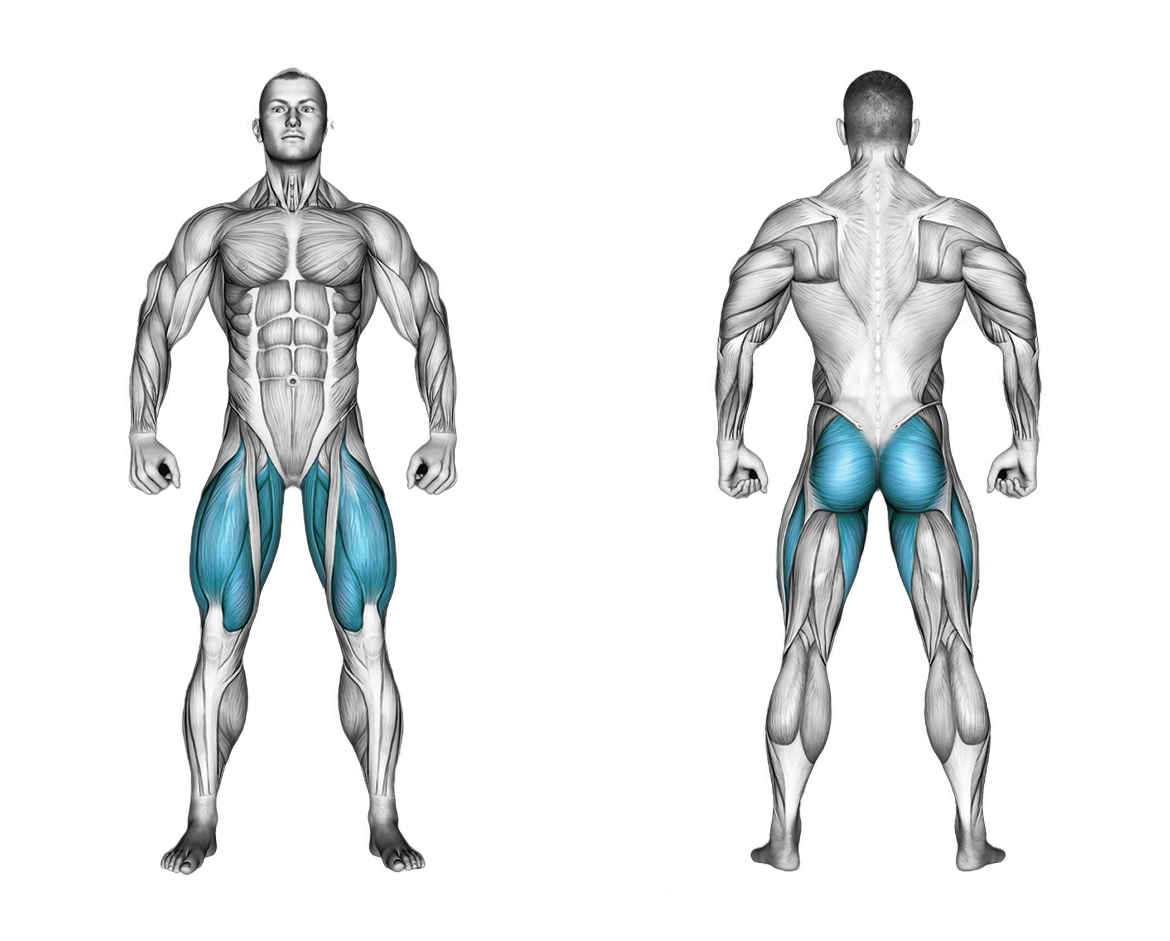 Smith Sumo Squat: legs, glutes