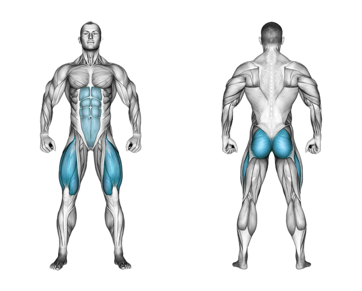 Cable Front Squat: legs, glutes