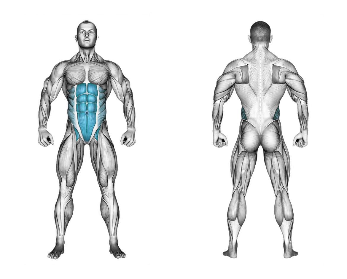 Alternate Lying Floor Leg Raise: abs