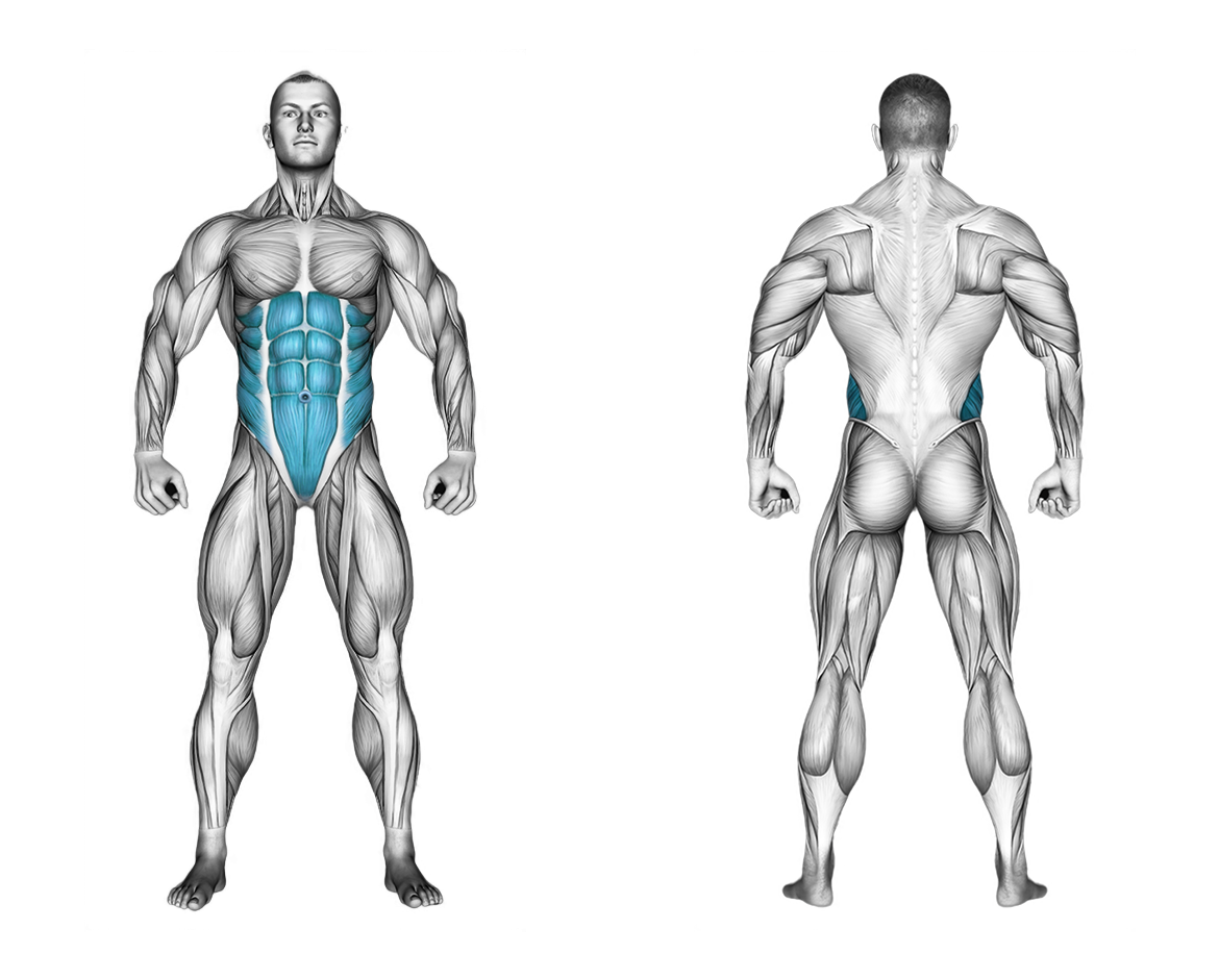 Bent knee Lying Twist: abs