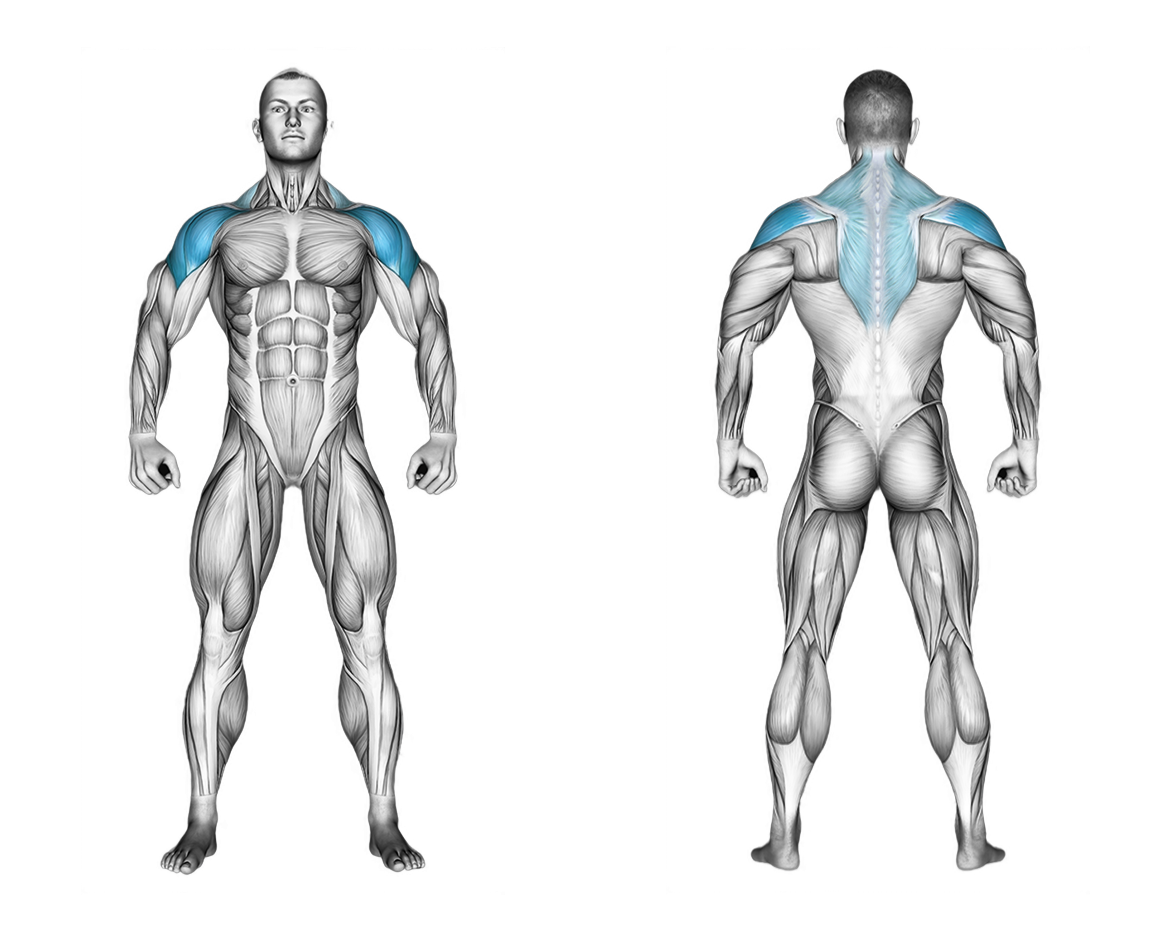 Cable Leaning Lateral Raise: shoulders