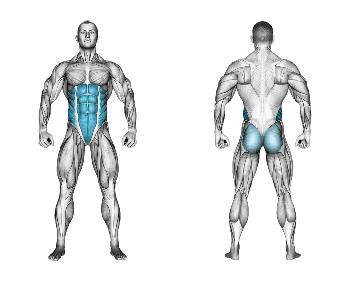 Front Plank with Arm and Leg Lift: abs