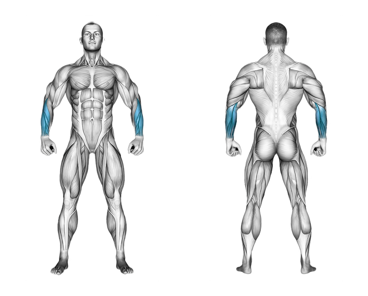 Cable Standing Wrist Roll: forearms