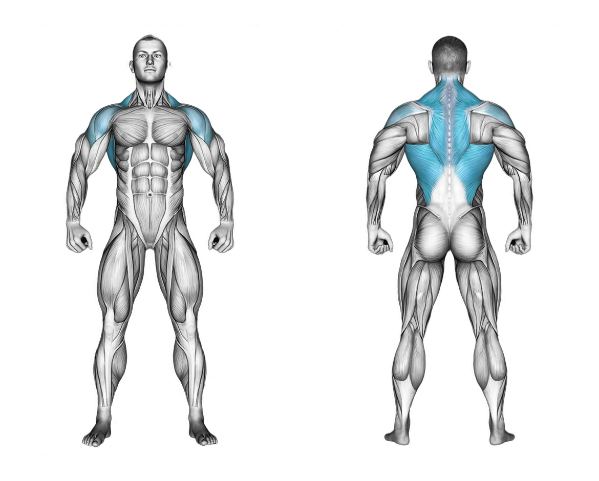 Cable Single Arm High Row: back