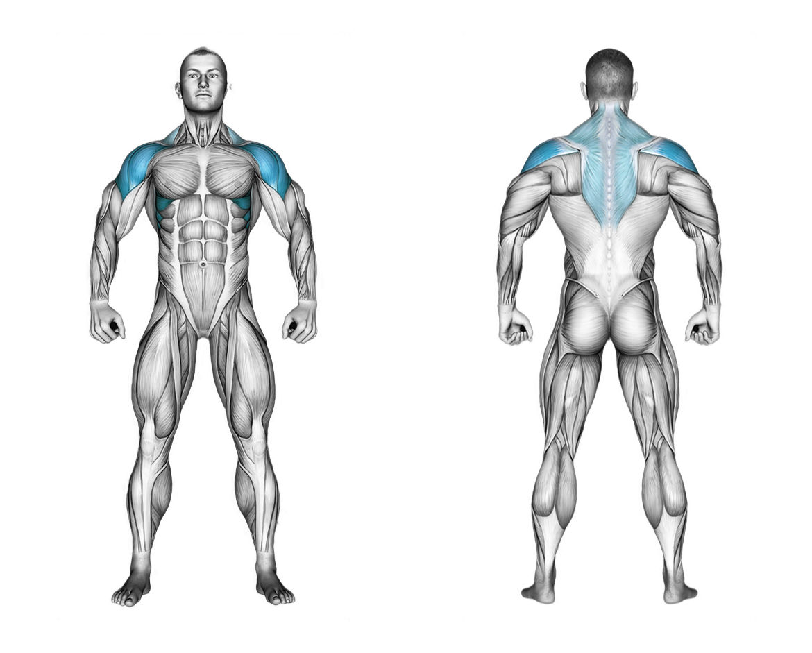 Cable Standing Y-raises (with rope attachment): shoulders