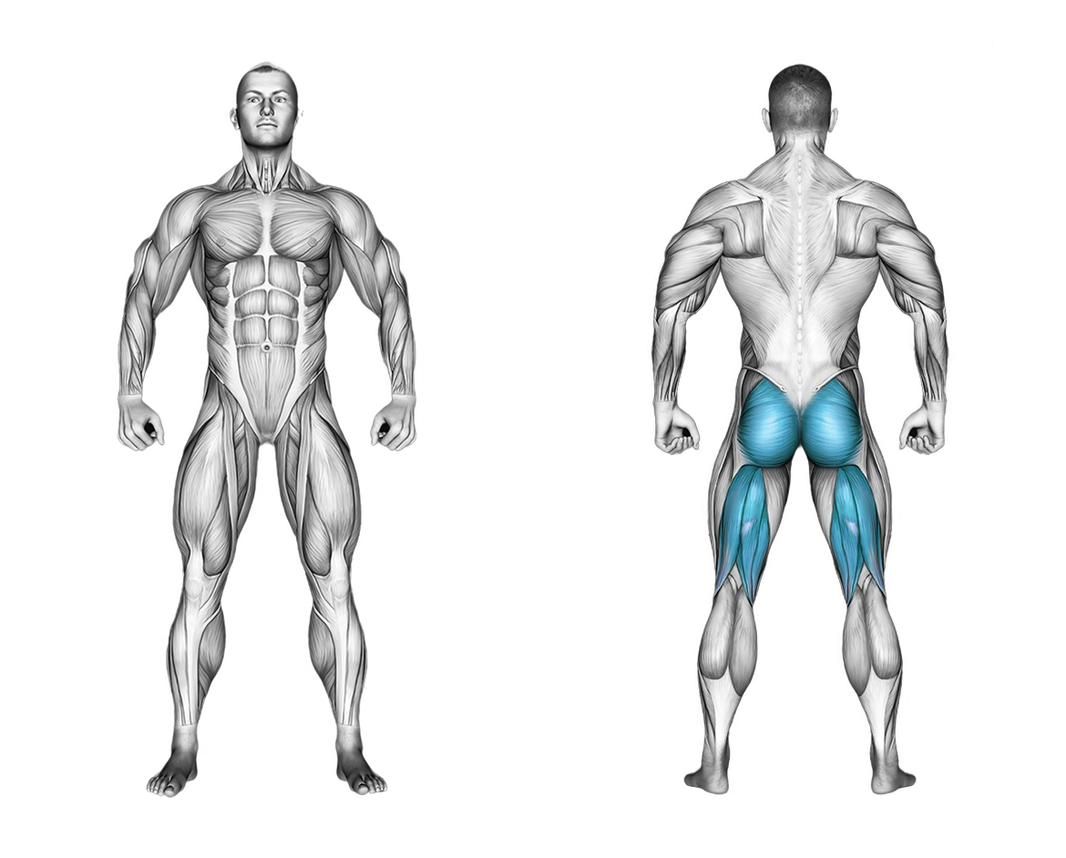 Hamstring Bridge: glutes, legs