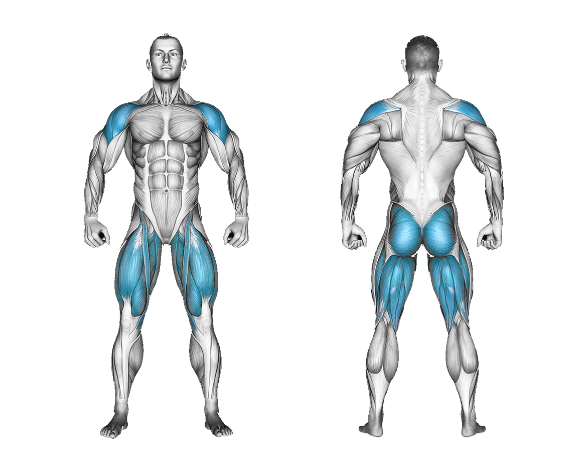 Band Thruster: legs, shoulders, glutes