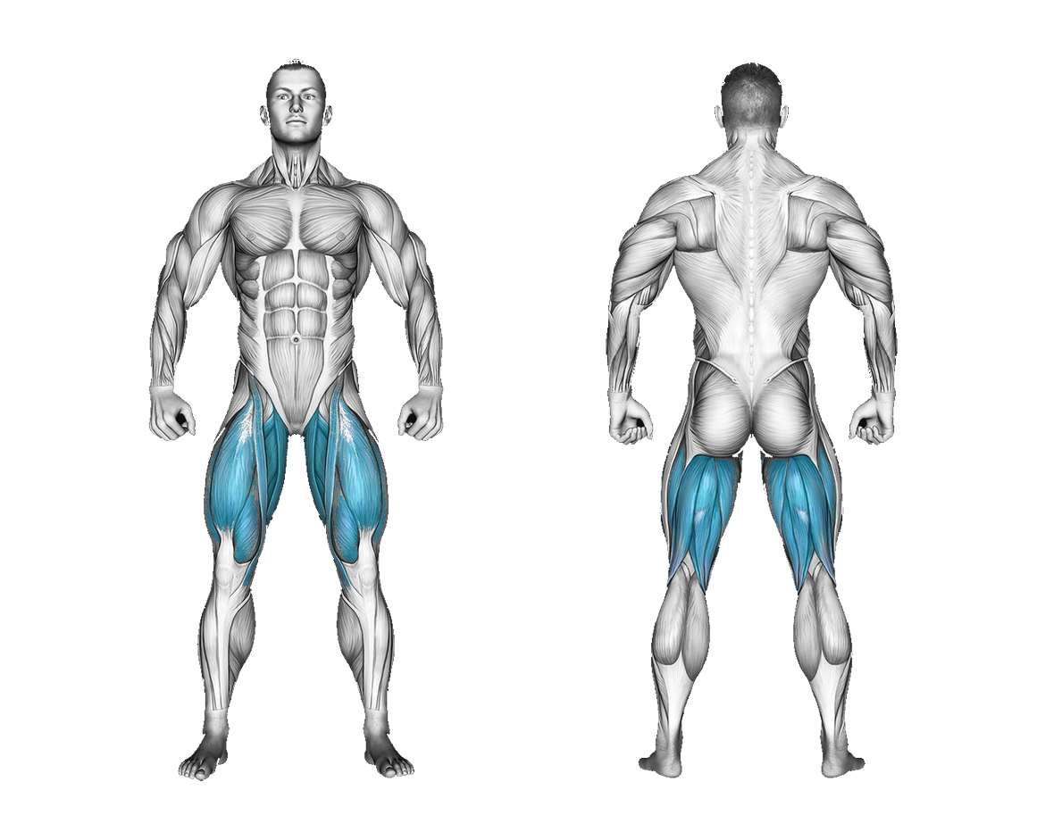 Band Hip Adduction: legs