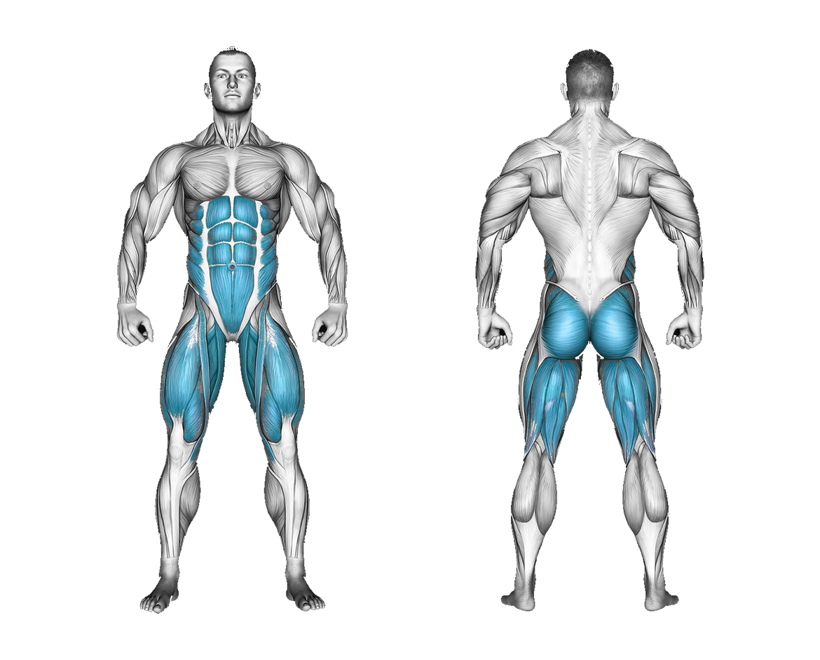 Band Squat Twist: legs, abs, glutes