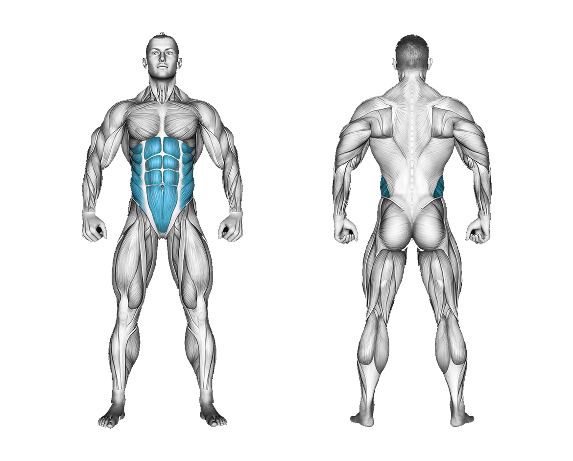 Band Kneeling Twisting Crunch: abs