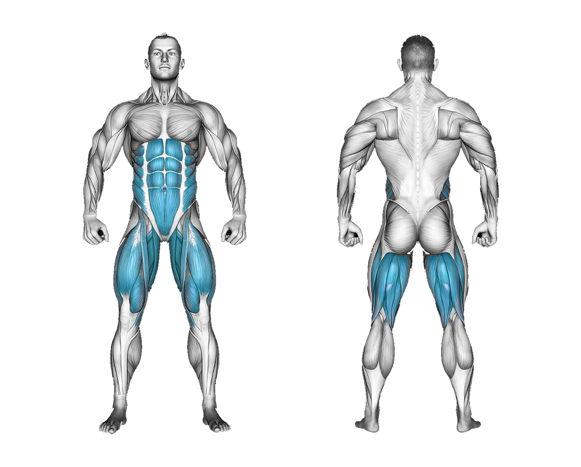 Band Hip Flexion: legs, abs